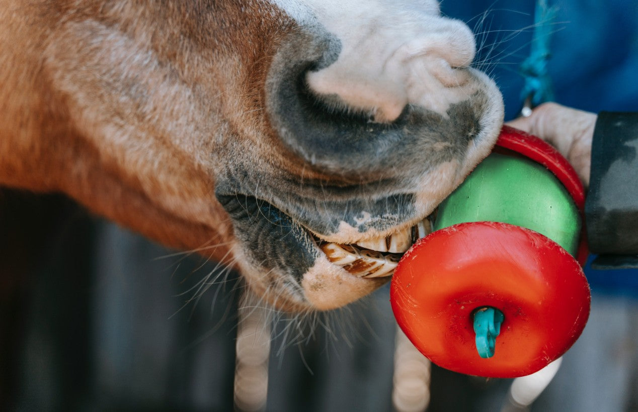 How Winter Weather Affects Digestive Health