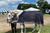 a woman standing next to a white horse