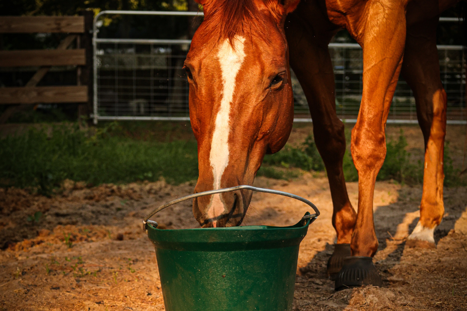 Fun Stall Games for Rainy Days