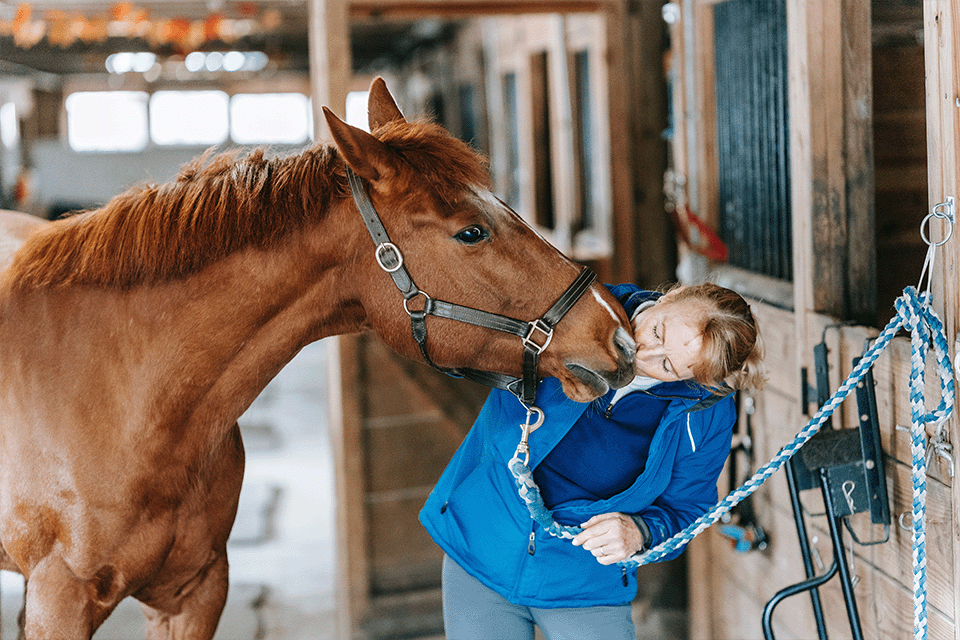 How Equine Therapy Benefits You