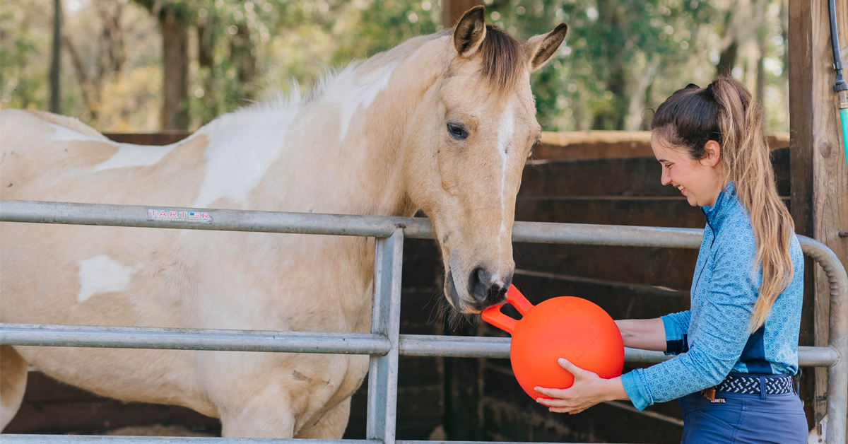 Horse Feed Supplies - Horsemen's Pride