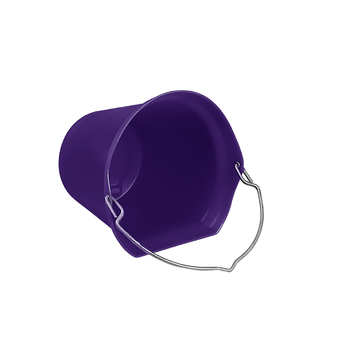 Purple Turned Lip Water Bucket