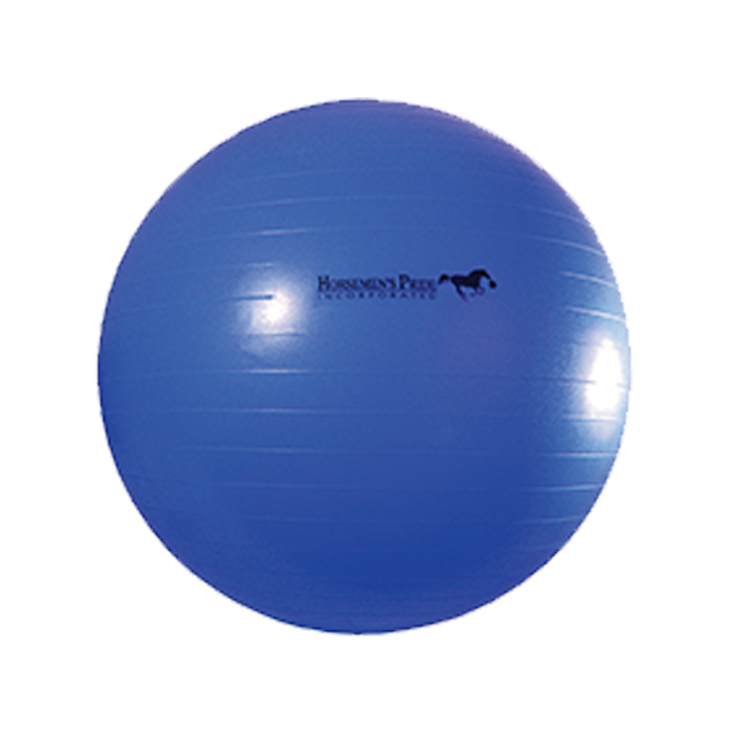 Rural365 40 Inch Horse Ball Toy - Anti-Burst Exercise Ball With Pump Included