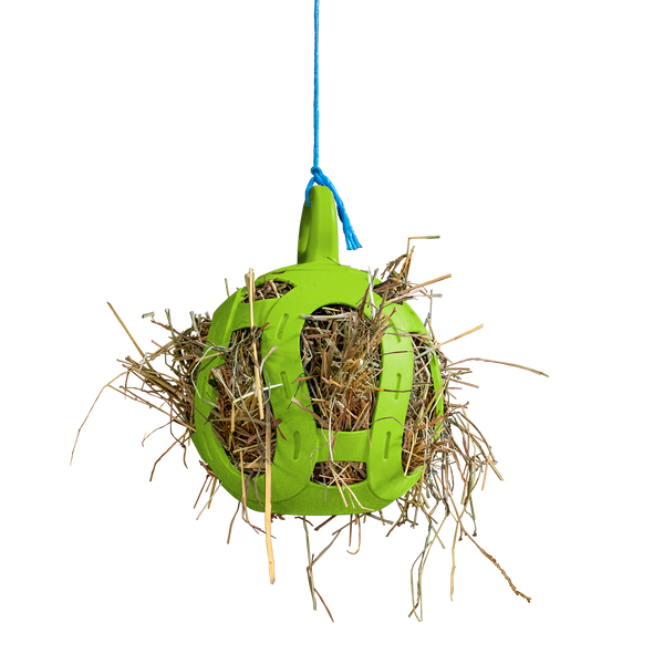 Jolly ball for sales birds