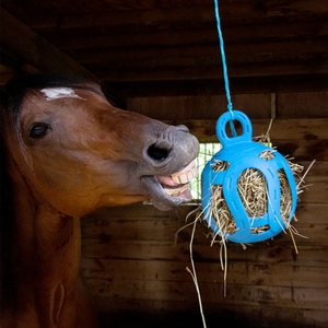 Horse with Blue Stuffed Hay Ball