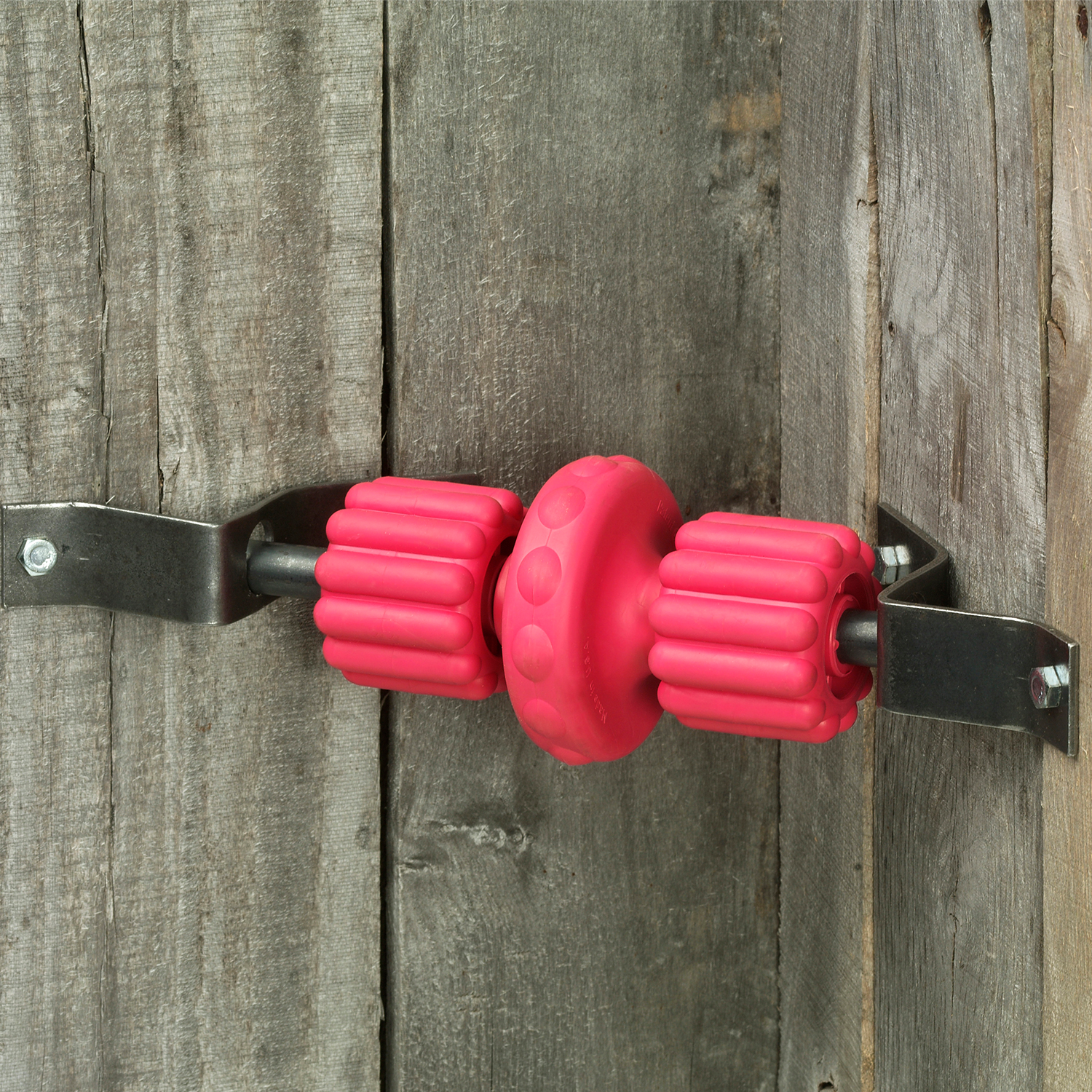Pas-a-fier red stall toy with mounting hardware