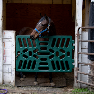 Green Stall Gate mounted in stall with brown horse