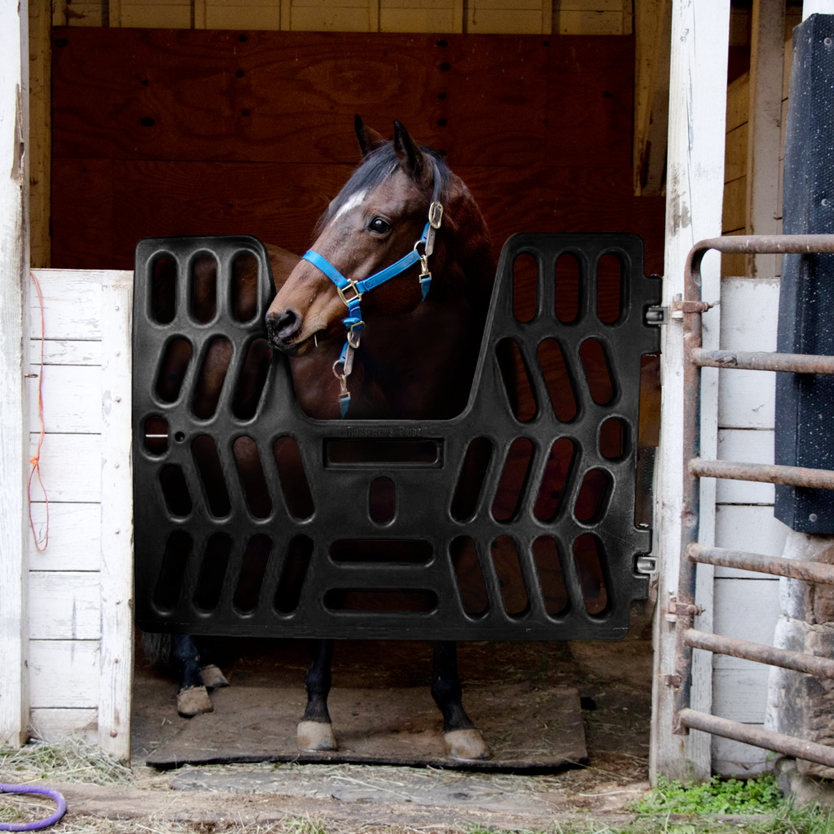  Stall Gate with Yoke mounted in stall with brown horse