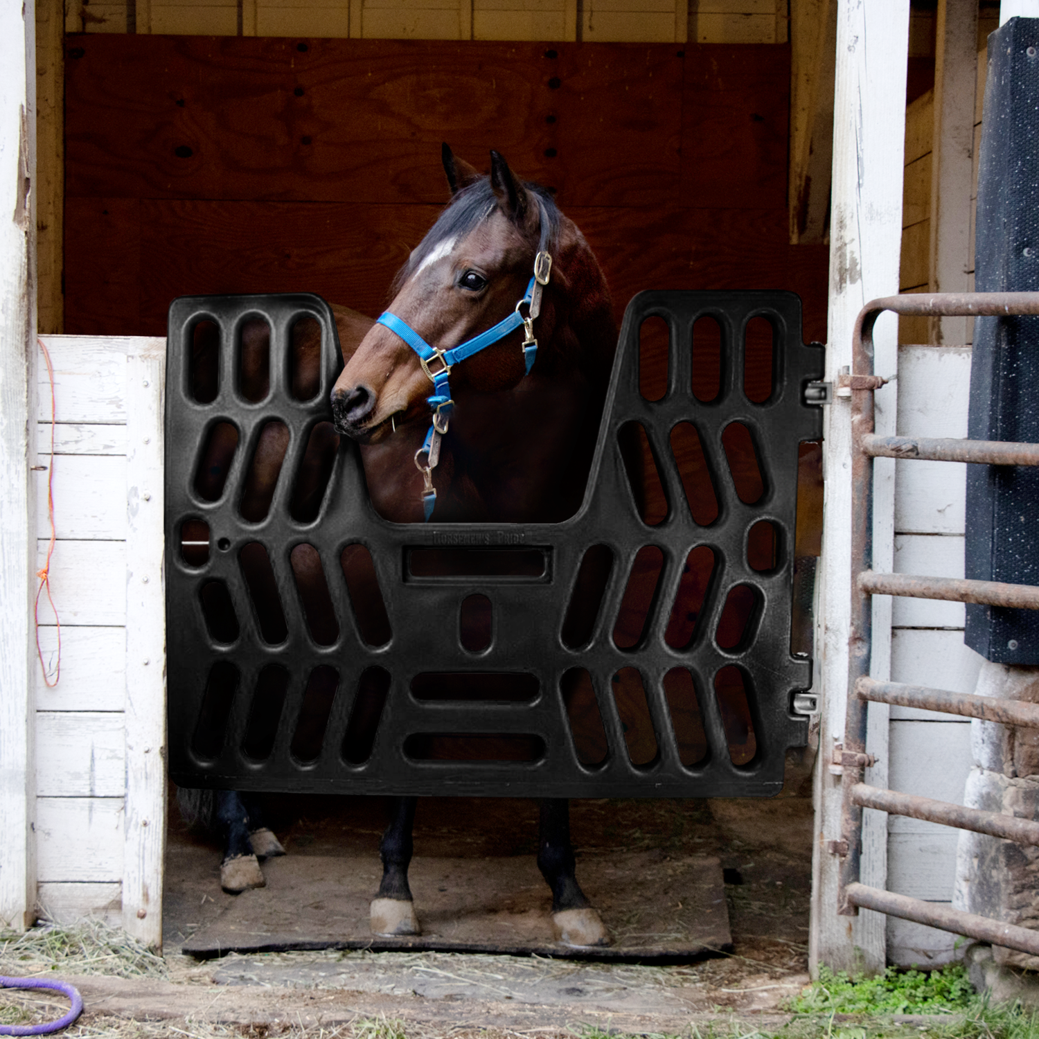 Full Sized Horse Stall Gates - Buy US Made
